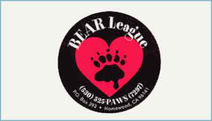 Bear League