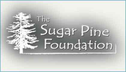 Sugar Pine Foundation
