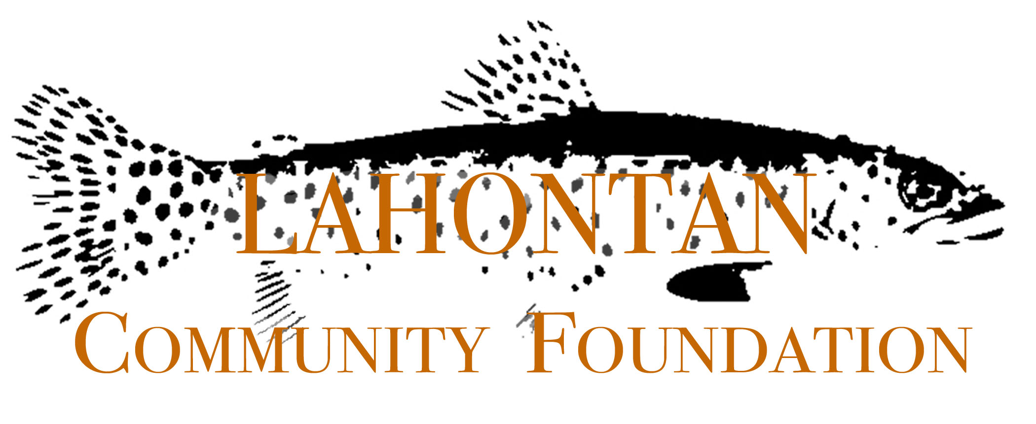Lahontan Community Foundation Fund Grants